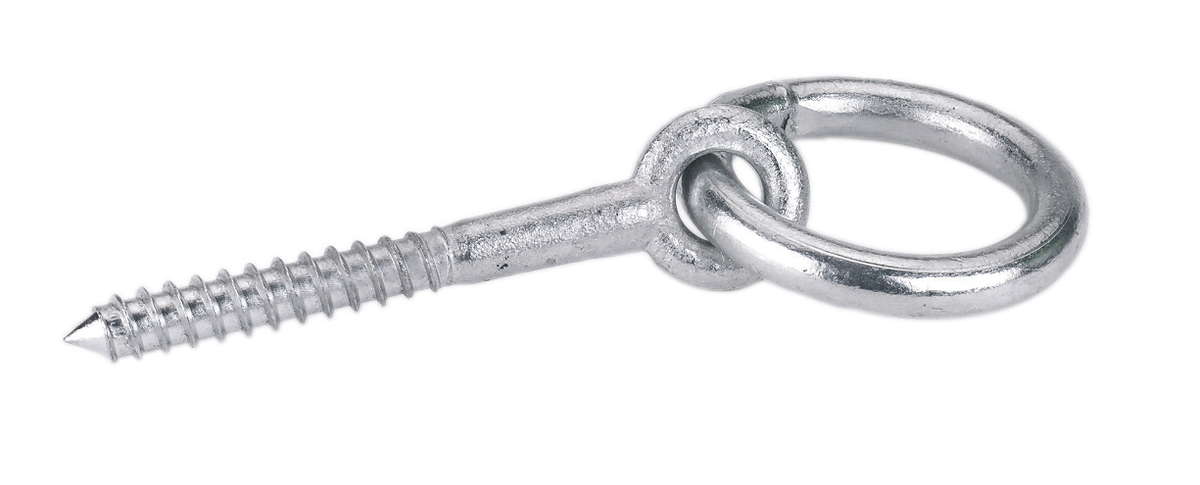 Barrenring m. Holzschraube VZ 10mm,80mm