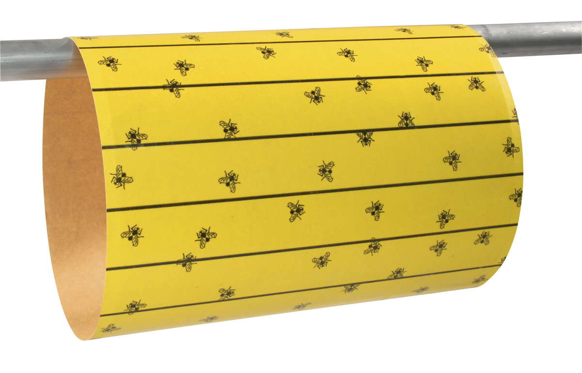 Fliegenfalle FlyMaster 6 Stck 595x300 mm