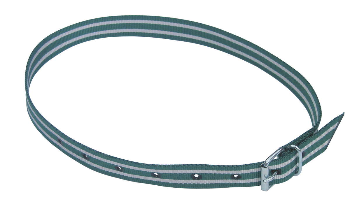 Markierungsband 135 cm grün/weiß
