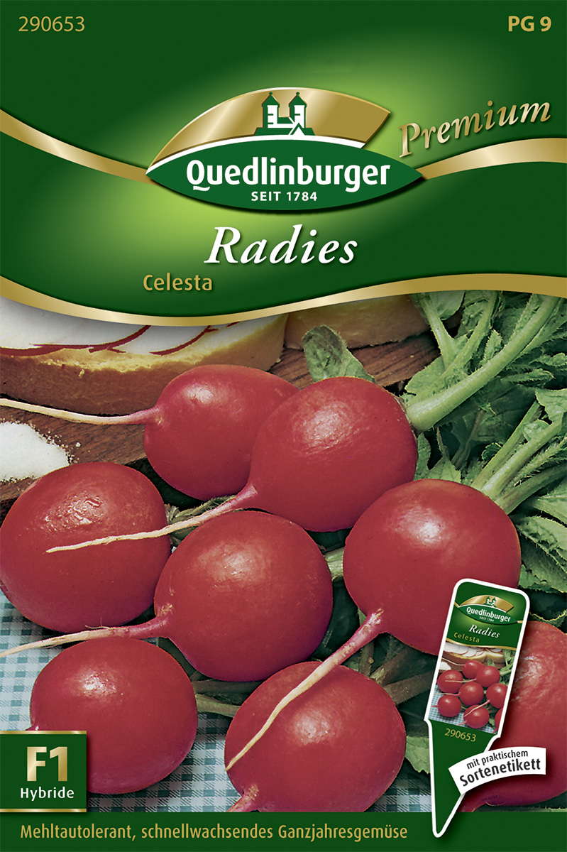 RADIES CELESTA
