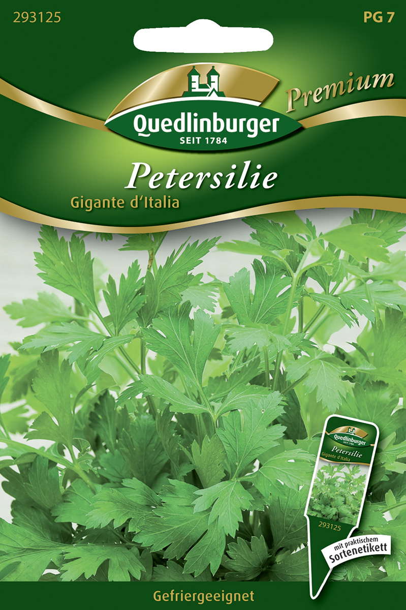 PETERSILIE GIGANTE D`ITALIA