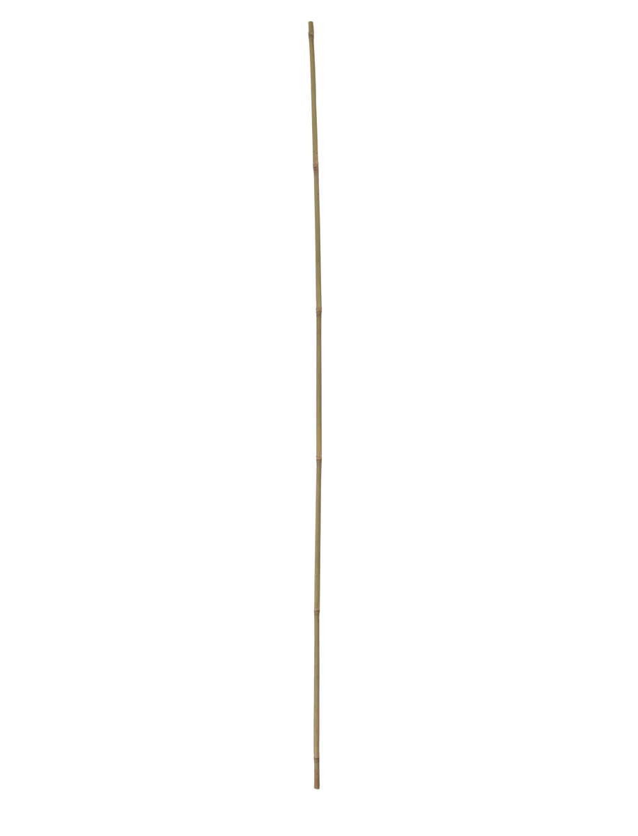 Tonkinstab Classic 120cm 8-10mm 10er