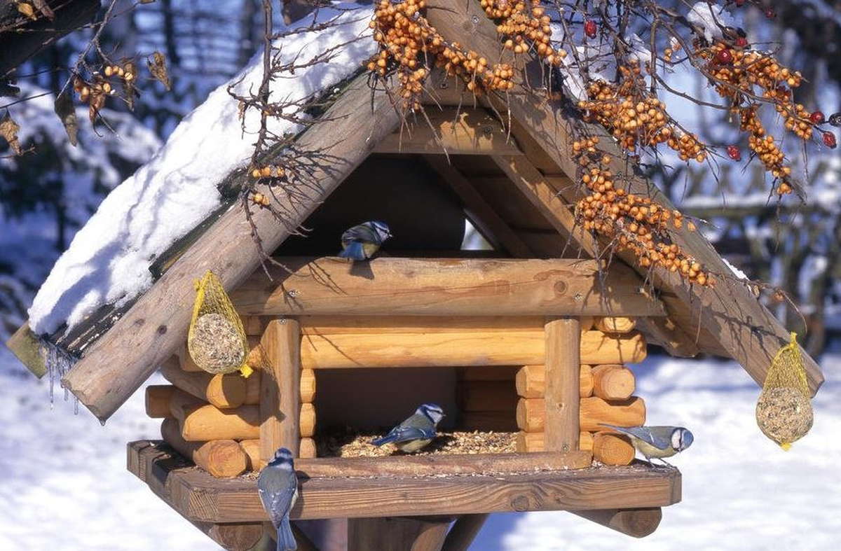 Winterfutter und Häuschen