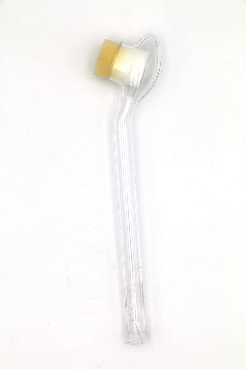 Königinnen-Fangglas Ideal aus
